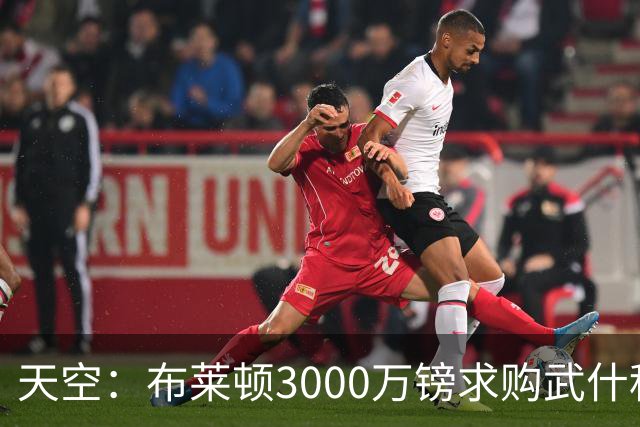 天空：布莱顿3000万镑求购武什科维奇，预计热刺对其估值超6000万